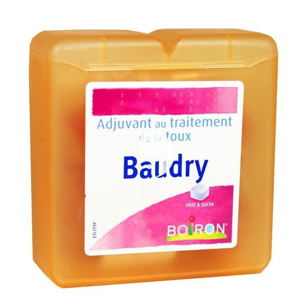 Baudry Pastilles Traitement de la Toux Pâte à Sucer