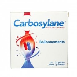 Carbosylane Ballonnements 48 Gélules